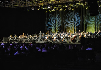 The Royal Philharmonic Orchestra (17)