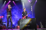 Concerts (14)