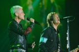 Roxette (15)