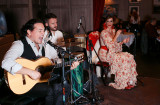 Flamenco night (21)