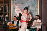 Flamenco night (23)