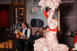Flamenco night